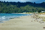 2015 New Zealand