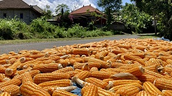 Indonesien, Bali 2022