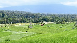 Indonesien, Bali 2022