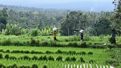 Indonesien, Bali 2022