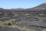 Lanzarote 2017