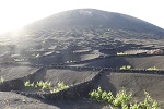 Lanzarote 2017