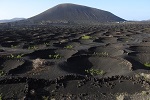 Lanzarote 2017