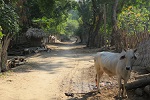 Myanmar 2019