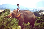 1988, Thailand