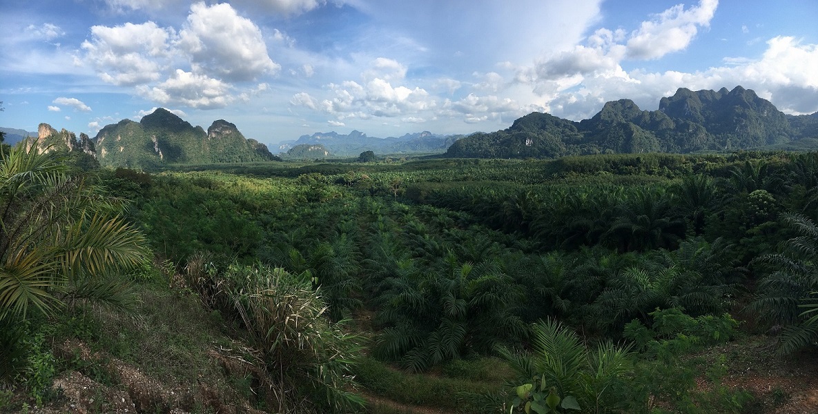 2017, Thailand Khao Sok NP