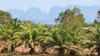 Thailand, Isaan-Tour 2025