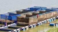 Thailand, Isaan-Tour 2025
