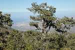 Trodos National Park