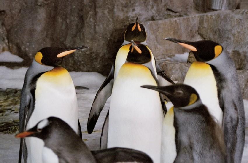 Neuseeland 2001