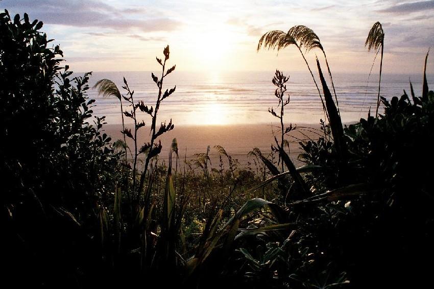 Neuseeland 2001