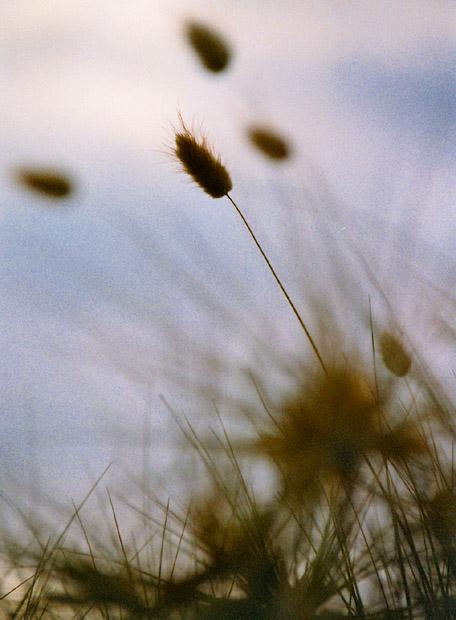 Neuseeland 2001