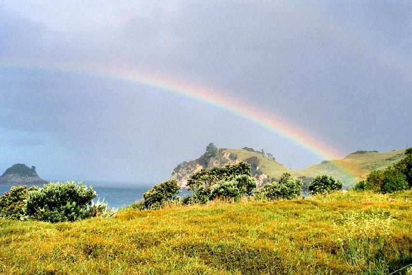Neuseeland 2001