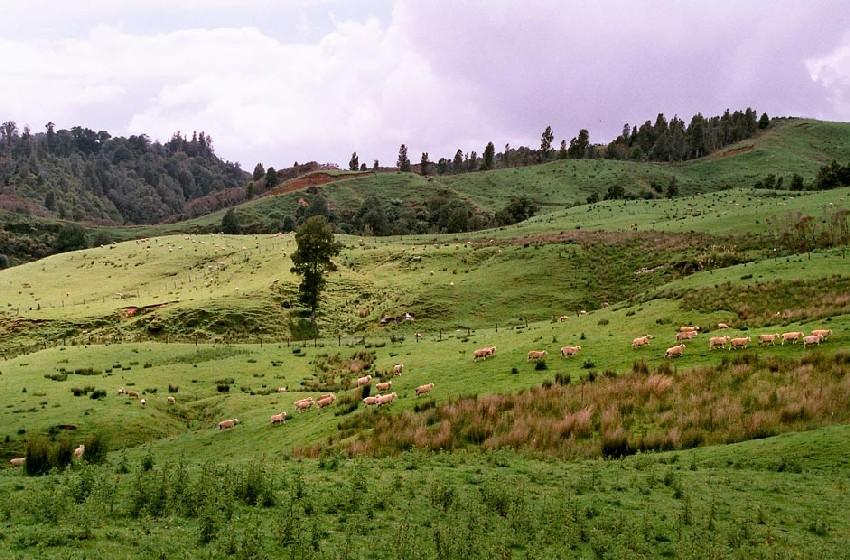 Neuseeland 2001