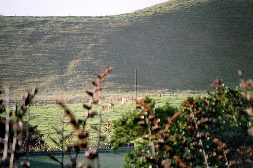 Neuseeland 2001