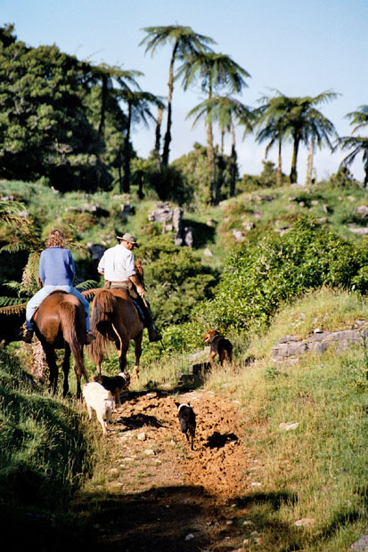 Neuseeland 2001