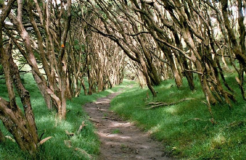 Neuseeland 2001