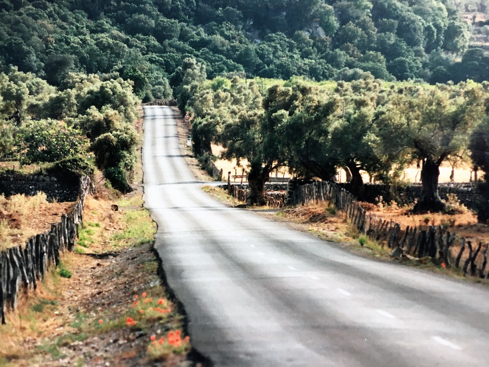 Mallorca