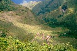 Philippines, Luzon, Village of Bontoc, Rice Terraces (1984)