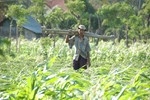 Bali, near Gunung Agung (2011)