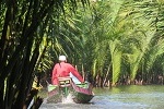 Rammang Rammang NP, Sulawesi, Indonesia (2019)