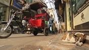 India, Delhi, Jama Masjid Rd. (2019)